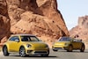 Volkswagen Beetle Dune naar Nederland