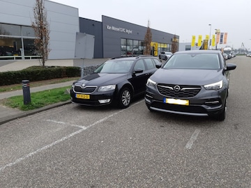 Opel Grandland X 1.2 Turbo 130pk Business Executive (2019)