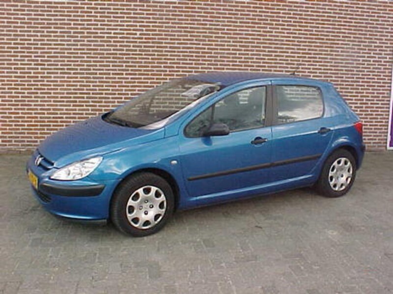Peugeot 307 XR 2.0 HDI 90pk (2001)