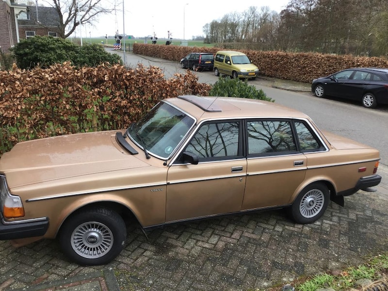 Volvo 260 (1981)