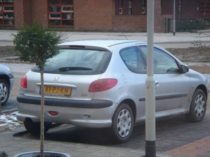 Peugeot 206 X-Line 1.4 (2004)