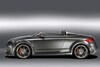 Audi TT Roadster als Speedster