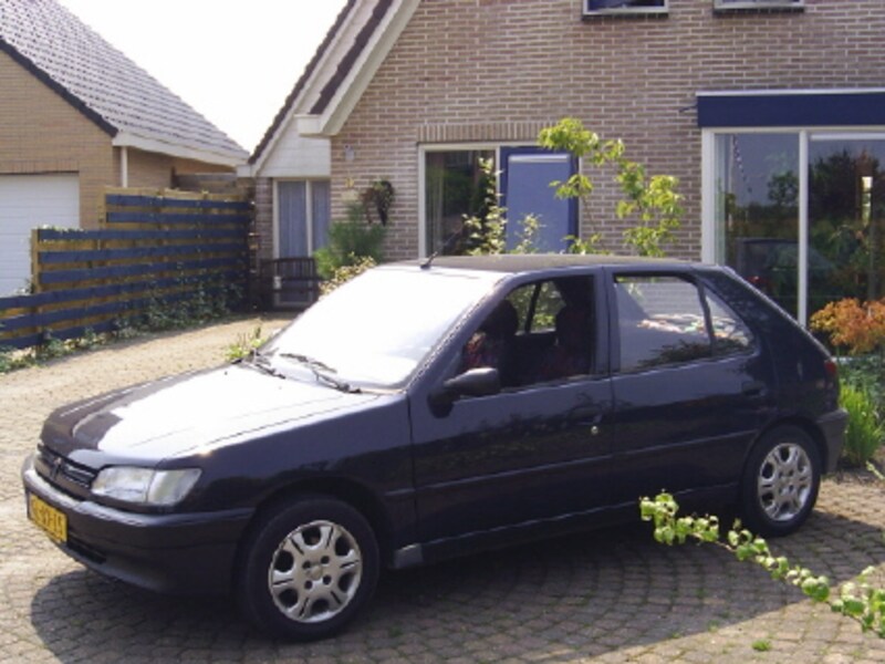 Peugeot 306 XN 1.4i (1993)