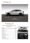 Tesla Model X 100D Performance Ludicrous (2018)